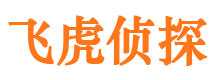 大余市私家侦探